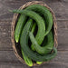 Wicker basket of fresh, long, green cucumbers with striped skin on a rustic wooden background. Garden harvest produce.
