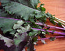 Fresh raw purple kale with dark green leaves and vibrant purple stems on a wooden surface.