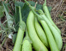 Fresh long green eggplants (brinjal) on straw with leaves and a white flower.