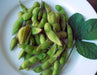 Fresh green edamame pods and soybean leaves on a white plate. Healthy plant-based, high-protein snack.