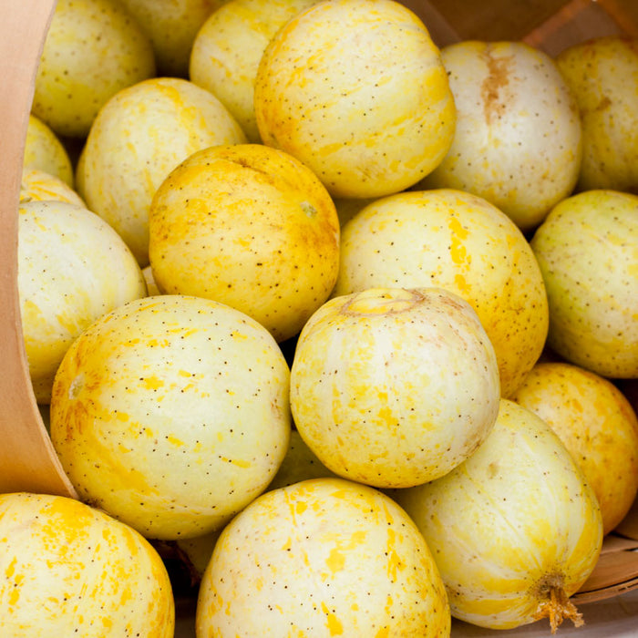 Pile of speckled yellow and cream lemon cucumbers in a brown basket, fresh garden harvest.