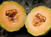 Cantaloupe halves with bright orange flesh, visible seeds, and green rind on dark soil.