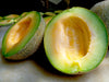 Ripe cantaloupe melon cut in half, revealing bright orange flesh and green rind. Fresh, healthy fruit slices.