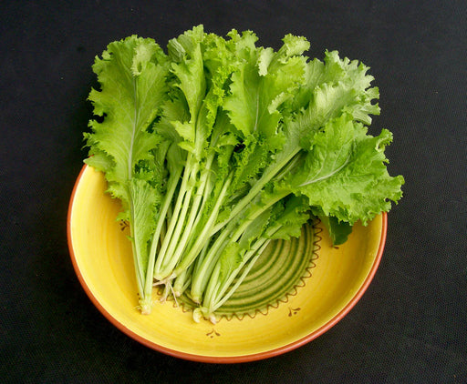 Fresh green mustard greens on a decorative yellow plate. Healthy leafy vegetables.