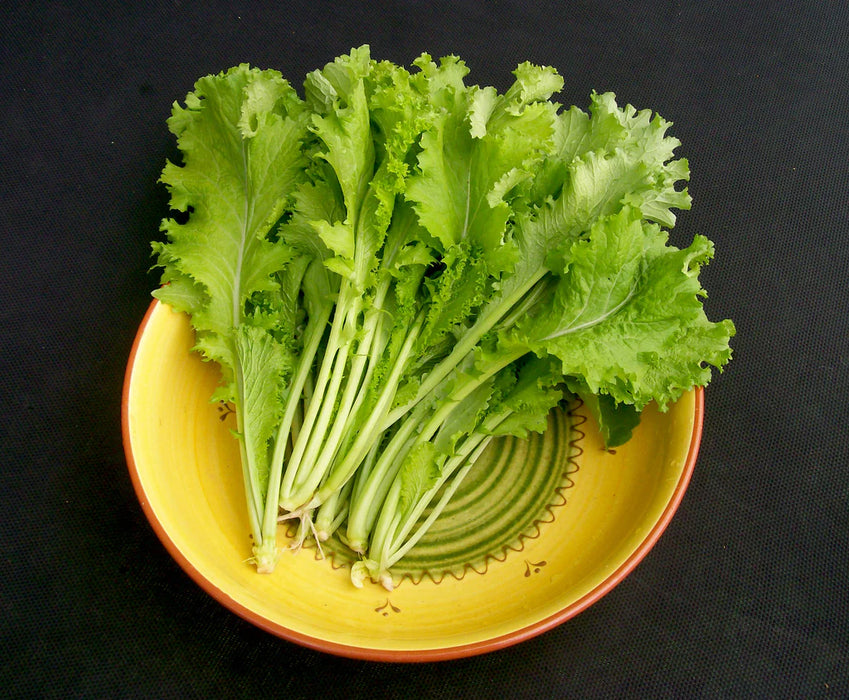 Fresh green mustard greens on a decorative yellow plate. Healthy leafy vegetables.