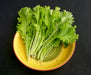 Fresh green mustard greens on a decorative yellow plate. Healthy leafy vegetables.