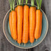 Fresh, vibrant orange carrots with green tops on a rustic blue plate, wooden background. Healthy organic root vegetables.