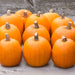 Numerous bright orange pumpkins with stems on a rustic wooden background. Ideal for fall decor, Halloween, autumn harvest.