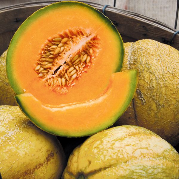 Ripe cantaloupe melon, sliced open to show vibrant orange flesh, seeds, and a wedge. Whole melons in background.