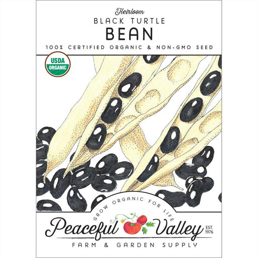 Heirloom Black Turtle Bean organic non-GMO seeds, illustrated in pods. USDA Organic certified, Peaceful Valley Farm & Garden Supply.
