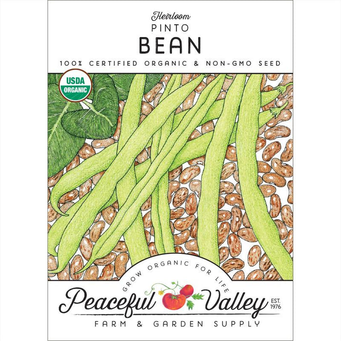 Heirloom Pinto Bean organic non-GMO seed. Illustration of green beans, pinto beans, and USDA Organic certification.