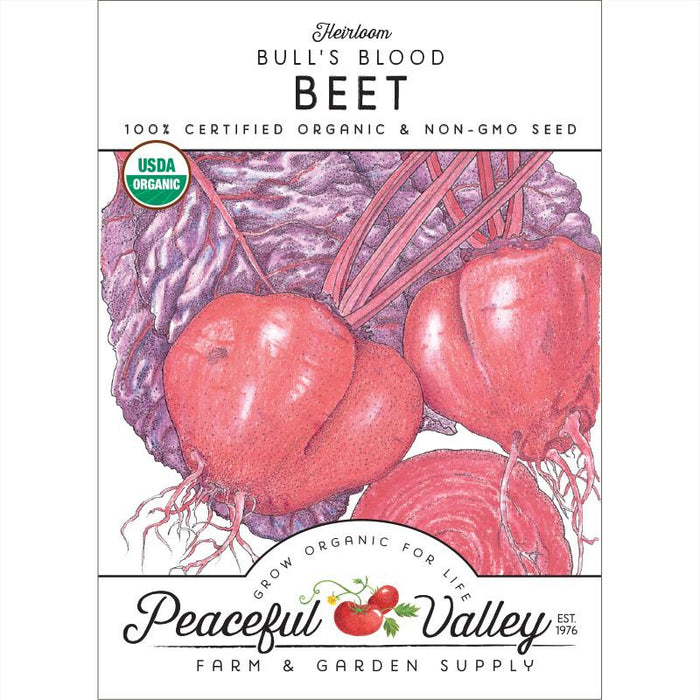 Heirloom Bull's Blood Beet organic seeds, USDA Certified, Non-GMO. Red beets with purple leaves. Peaceful Valley.
