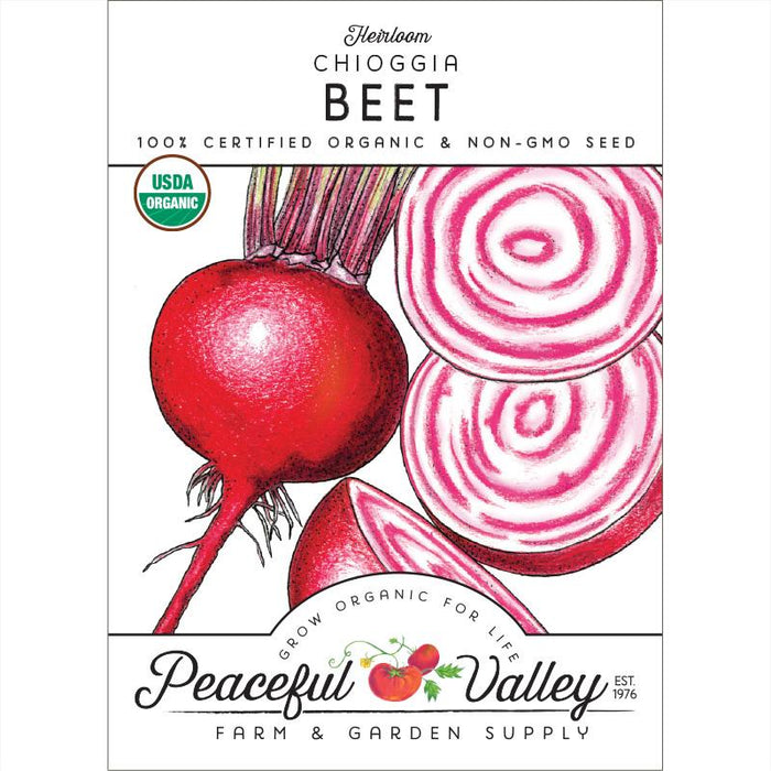 Organic Heirloom Chioggia Beet seeds. Whole and sliced beets with red and white candy stripe rings. USDA certified.