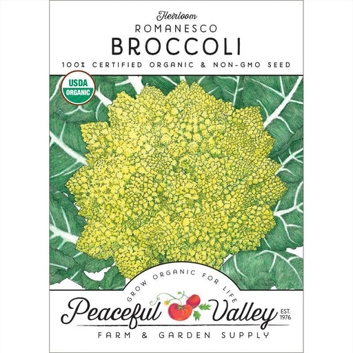 Heirloom Romanesco Broccoli organic seed packet. USDA certified, non-GMO vegetable seeds for gardening.