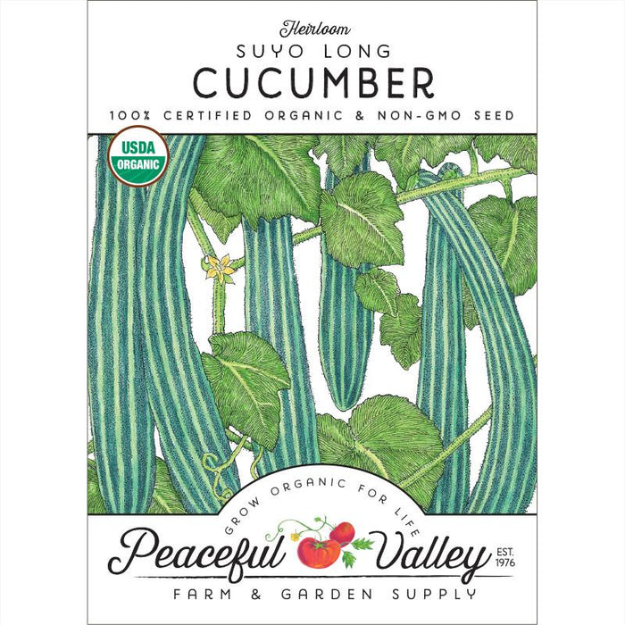 Heirloom Suyo Long Cucumber seed packet. USDA Organic, Non-GMO. Green cucumbers on vine. Peaceful Valley.