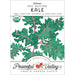 Heirloom Red Russian Kale organic seed packet. Green leaves, red veins. USDA Organic, Non-GMO. Peaceful Valley.