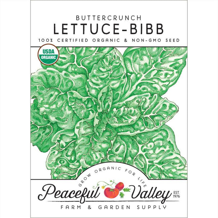 Organic Buttercrunch Bibb Lettuce seed packet. USDA certified, non-GMO for fresh home garden vegetables.