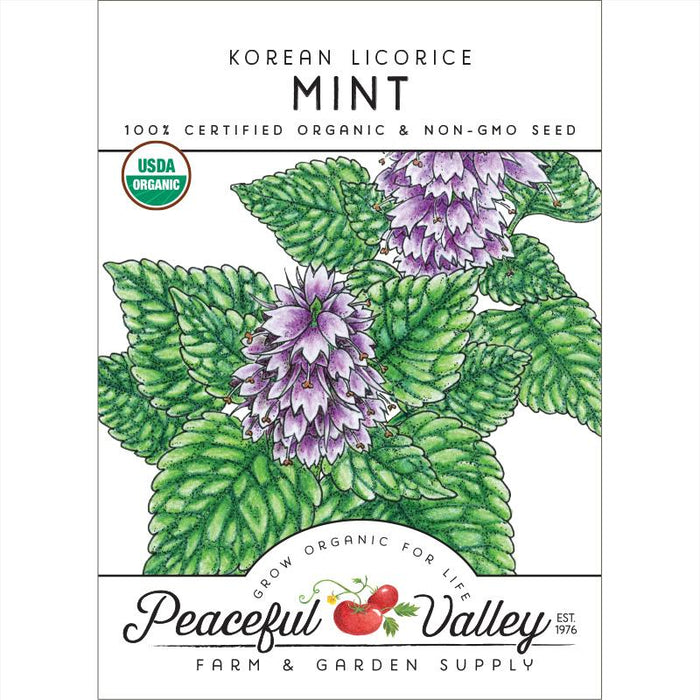 Korean Licorice Mint organic seed packet. USDA Organic, non-GMO. Flowering mint plant with green leaves and purple blooms.