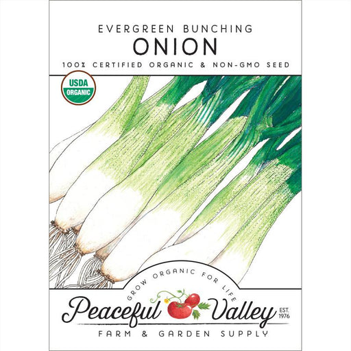 Evergreen Bunching Onion organic non-GMO seed packet. USDA Organic. Peaceful Valley Farm & Garden Supply.