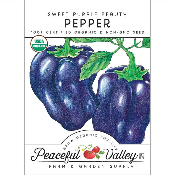 Sweet Purple Beauty Pepper organic non-GMO seed packet with two vibrant purple bell peppers and USDA Organic seal.