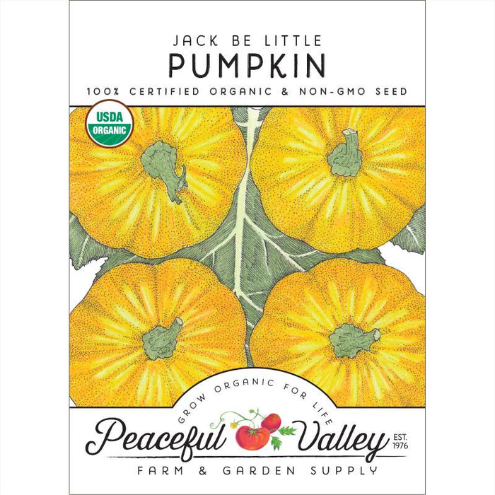 Jack Be Little Pumpkin organic non-GMO seed packet. Four small yellow pumpkins, USDA Organic certified.