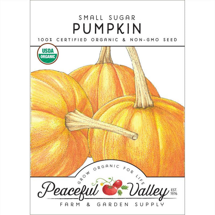Small Sugar Pumpkin organic non-GMO seed packet from Peaceful Valley. USDA Organic certified, with three orange pumpkins.