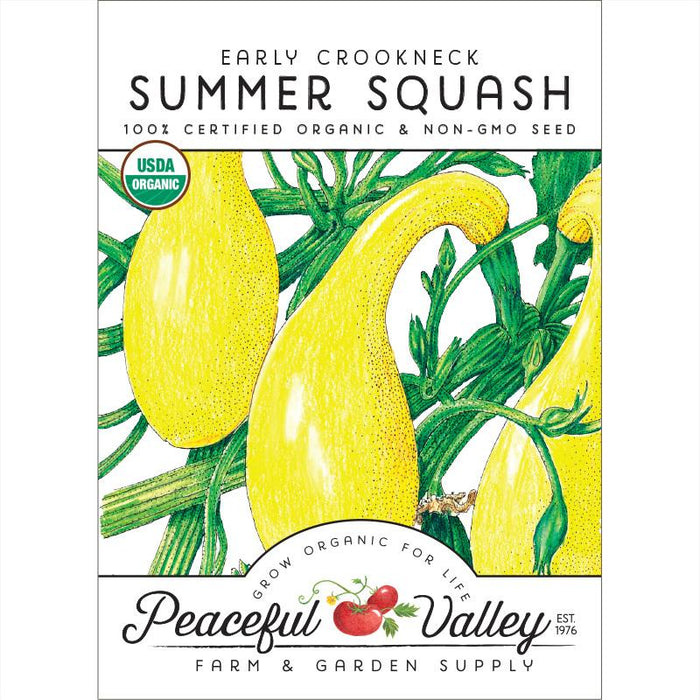 Early Crookneck Summer Squash organic non-GMO seed packet. Yellow squash on green vines, USDA Organic, Peaceful Valley.