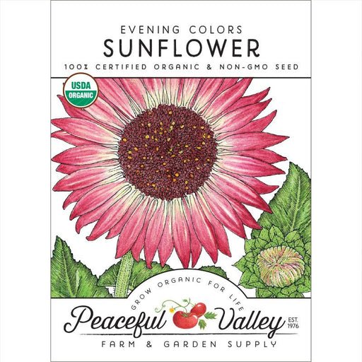 USDA Organic Evening Colors Sunflower seed packet. Vibrant pink sunflower illustration, Non-GMO seeds.