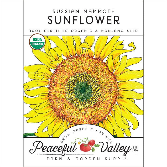 Vibrant Russian Mammoth sunflower, certified organic, non-GMO seed packet from Peaceful Valley Farm & Garden Supply.