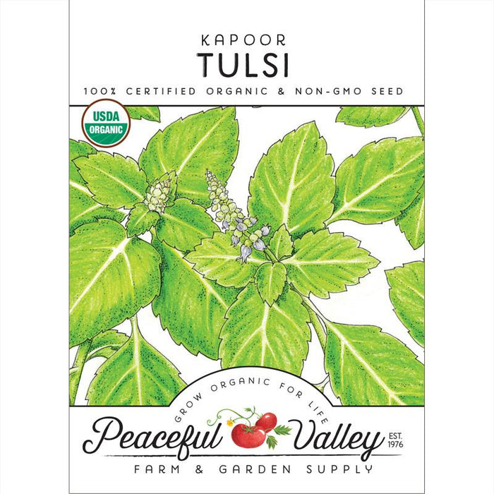 Kapoor Tulsi organic non-GMO seed packet from Peaceful Valley. Features green tulsi leaves, USDA Organic logo.