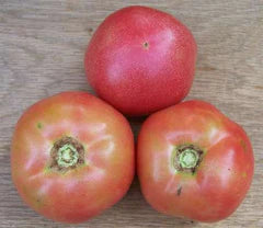 Three ripe red tomatoes with green tops on a light wooden background. Fresh garden produce.