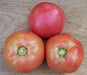 Three ripe red tomatoes with green tops on a light wooden background. Fresh garden produce.