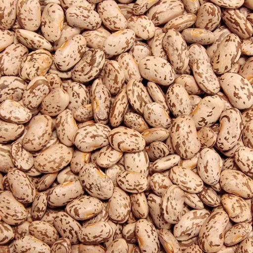 Dried pinto beans, speckled brown and beige. Versatile legumes for chili, refried beans, and hearty stews.