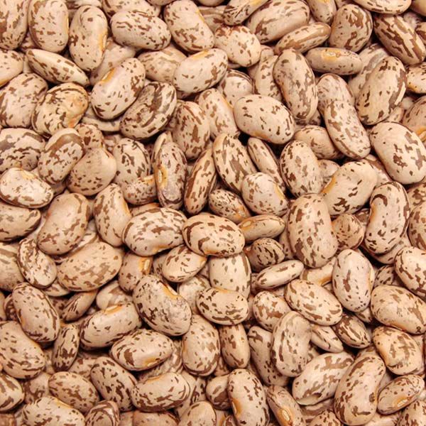 Dried pinto beans, speckled brown and beige. Versatile legumes for chili, refried beans, and hearty stews.