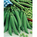 Fresh green pea pods and bright shelled peas on a wooden table, ideal for healthy eating.