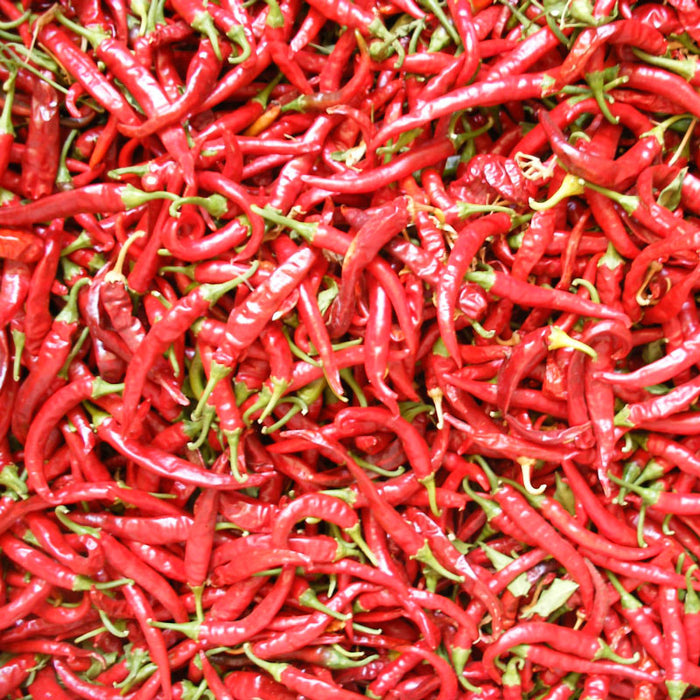 Close-up of numerous vibrant red chili peppers with green stems. Fresh, hot, and spicy cooking ingredients.