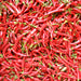 Close-up of numerous vibrant red chili peppers with green stems. Fresh, hot, and spicy cooking ingredients.