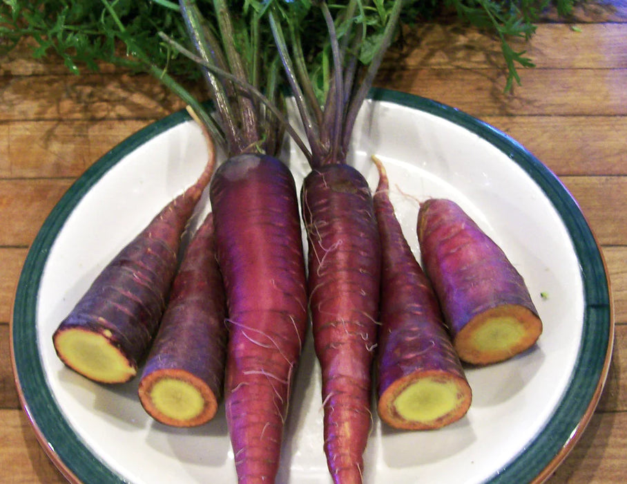 Fresh purple heirloom carrots with green tops on a white plate. Some cut to reveal a yellow-orange core.