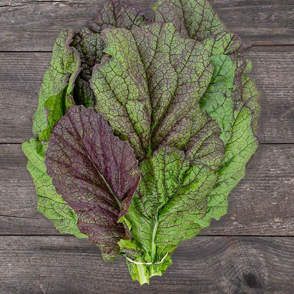 Fresh red and green mustard greens bunch on rustic wood. Organic, vibrant leafy vegetables for healthy meals.