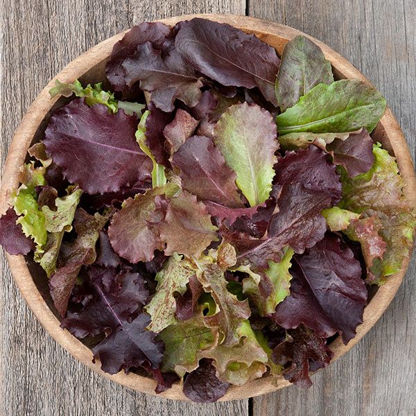 Vibrant red and green mixed lettuce leaves in a rustic wooden bowl, ready for a healthy salad.