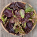 Vibrant red and green mixed lettuce leaves in a rustic wooden bowl, ready for a healthy salad.