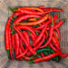 Vibrant red, orange, and green chili peppers in a rustic woven basket. Fresh hot peppers for cooking.