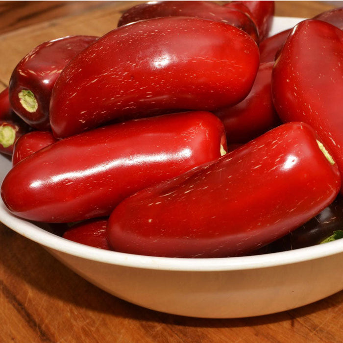 Fresh, vibrant red jalapeño peppers in a white bowl. Ripe chili peppers for cooking spicy meals.