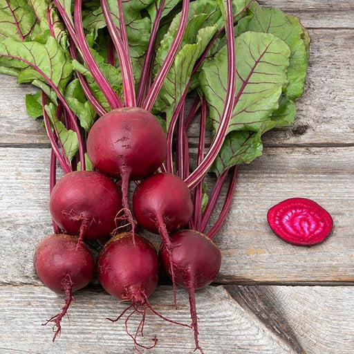 Vibrant red beets with leafy green tops and a sliced beet, fresh organic garden produce on rustic wood.