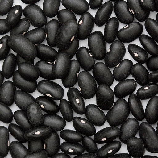 Scattered dried black beans. Dark, oval legumes with white hilum. Great for cooking, healthy vegan protein.