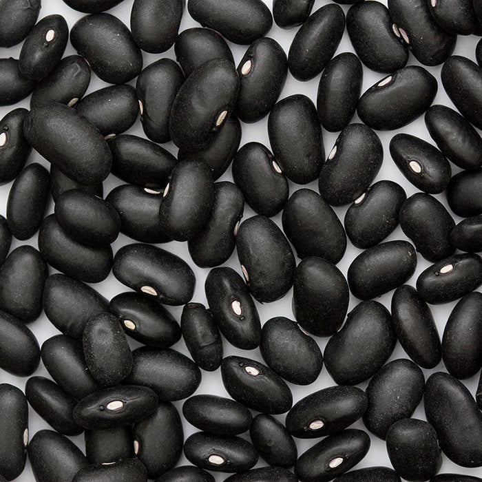Scattered dried black beans. Dark, oval legumes with white hilum. Great for cooking, healthy vegan protein.