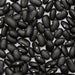 Scattered dried black beans. Dark, oval legumes with white hilum. Great for cooking, healthy vegan protein.