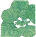 Vibrant green leaves, detailed botanical plant foliage with prominent veins. Healthy garden greens.