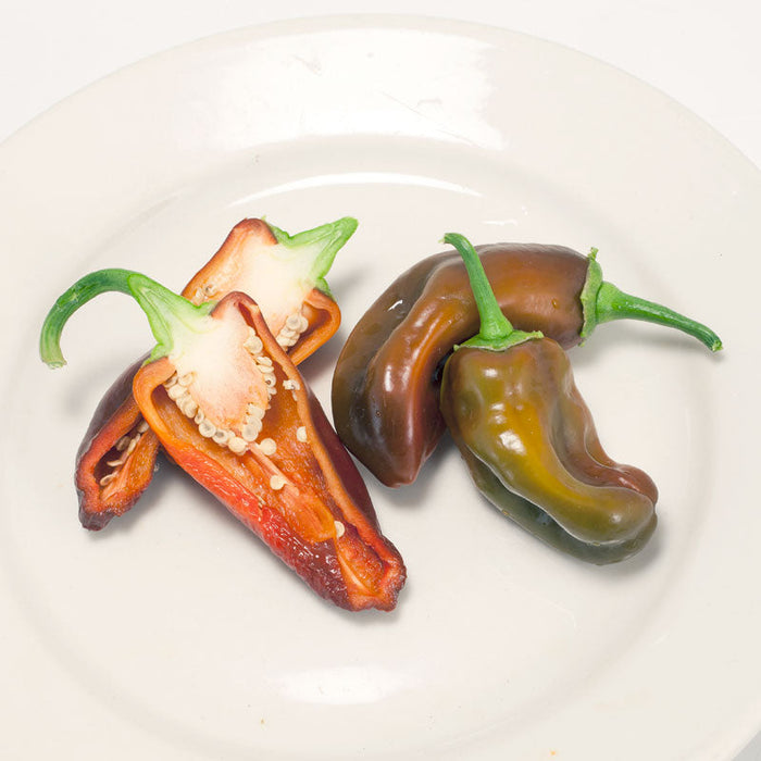 Fresh dark brown & green chili peppers on white plate; one sliced showing seeds & red interior.