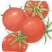 Four ripe red tomatoes with green calyxes. Fresh garden produce.